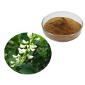 Derris trifoliata extracto de extracto rotenona polvo de 10%-98%